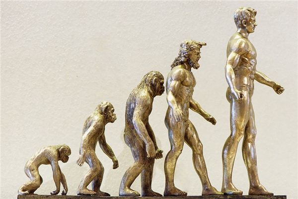 What does it mean to dream about evolution? What does it mean to dream about evolution?