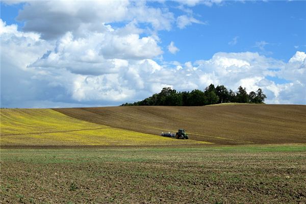 What does it mean to dream of fields? What does it mean to dream of fields?