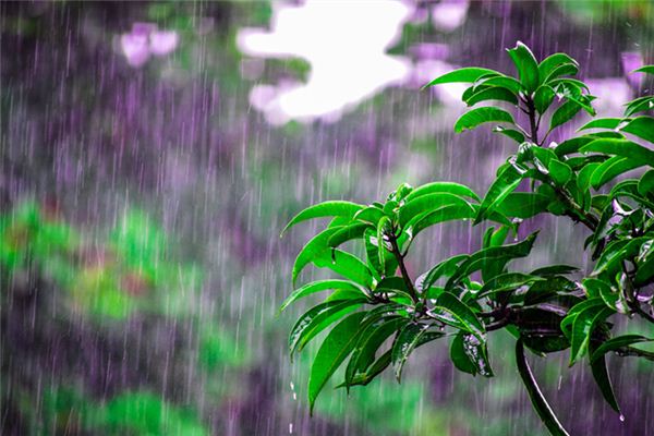 What does it mean to dream of rain? What does it mean to dream of rain?