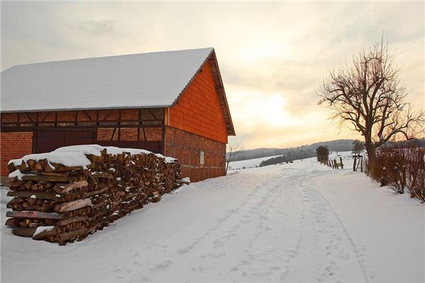 I dreamed that there was snow on the roof.