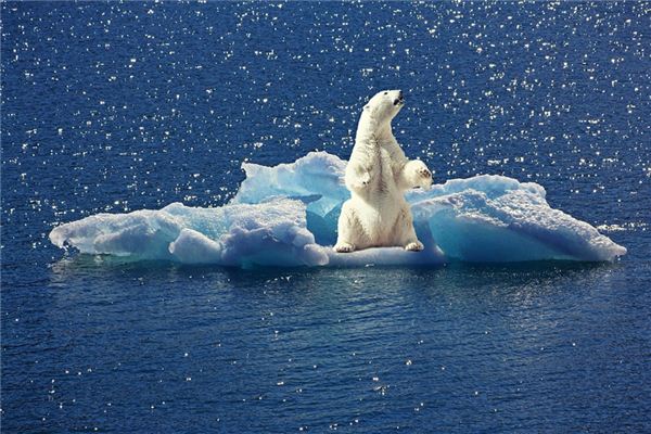 What does it mean to dream of floating ice? What does it mean to dream of floating ice?