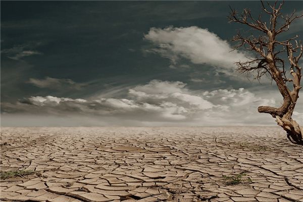 What does it mean to dream of a wasteland? What does it mean to dream of a wasteland?