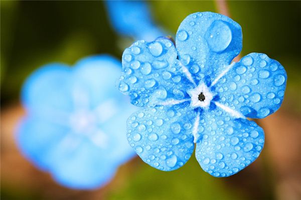 What does it mean to dream of spring drizzle? What does it mean to dream of spring drizzle?