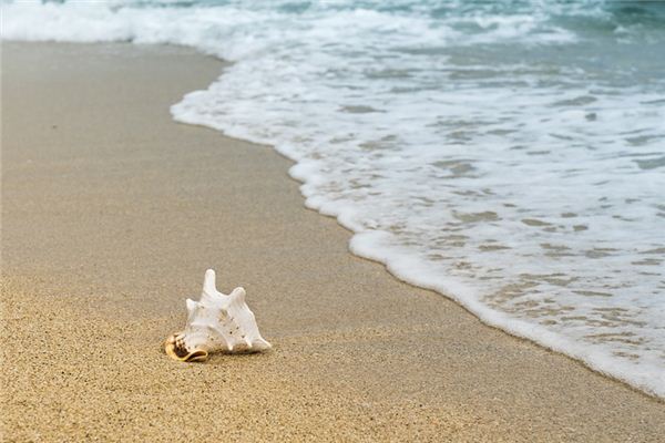 What does it mean to dream of the coast?