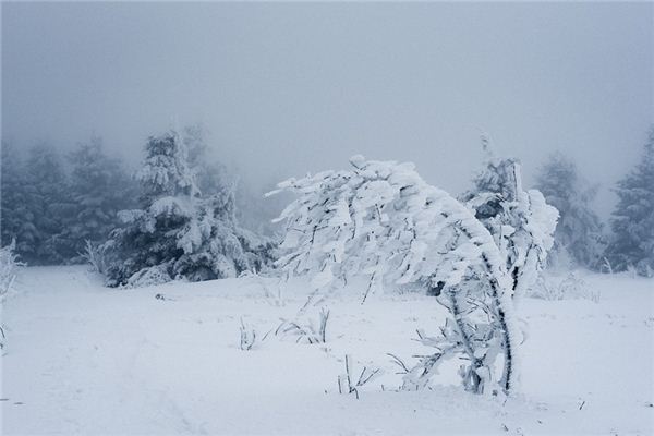What does it mean to dream of a blizzard? What does it mean to dream of a blizzard?