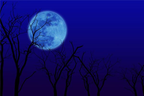 I dreamt that the moon hung on the treetops