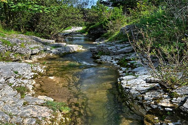 What does it mean to dream of spring water? What does it mean to dream of spring water?