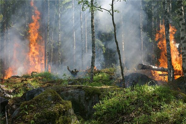 What does it mean to dream of a mountain on fire? What does it mean to dream of a mountain on fire?