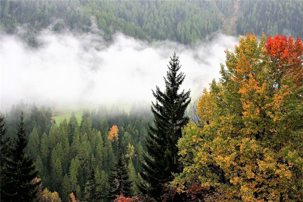 What does it mean to dream of rain falling on a mountain? What does it mean to dream of rain falling on a mountain?