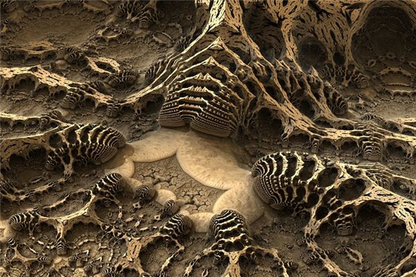 What does it mean to dream of fossils? What does it mean to dream of fossils?