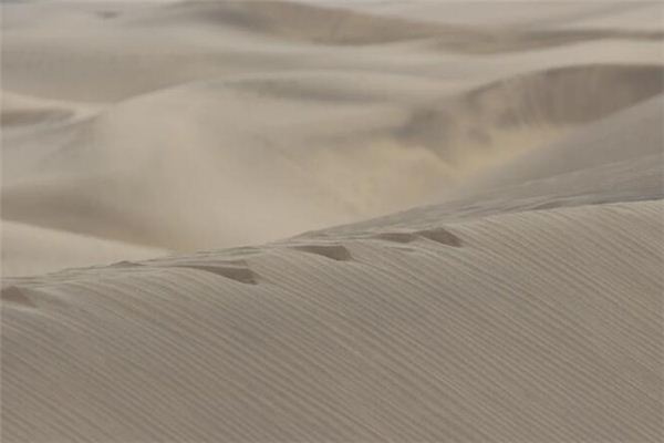 What does it mean to dream of quicksand? What does it mean to dream of quicksand?