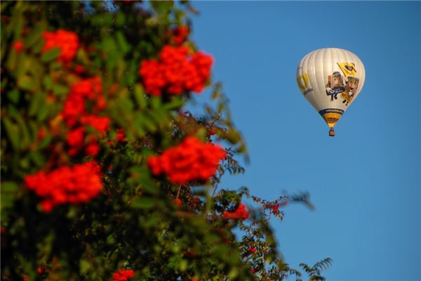 What does it mean to dream of being in mid-air? What does it mean to dream of being in mid-air?