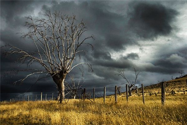 I dreamed of dark clouds. I dreamed of dark clouds.