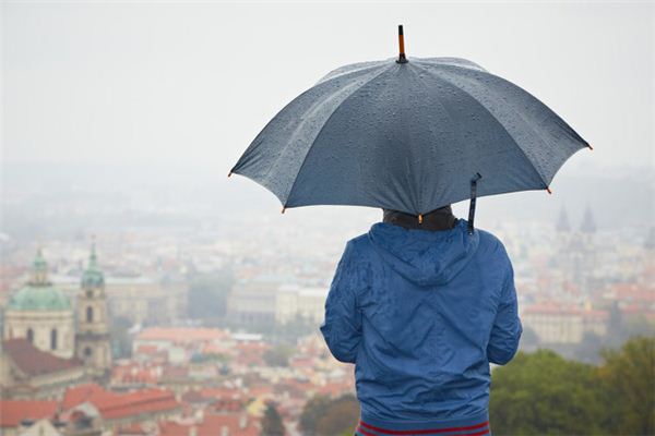 I dreamt of the fine, continuous plum rain.