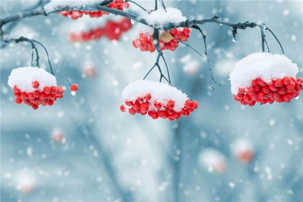 I dreamed of snow
