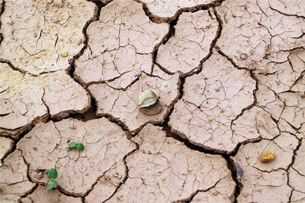 What does it mean to dream of soil? What does it mean to dream of soil?