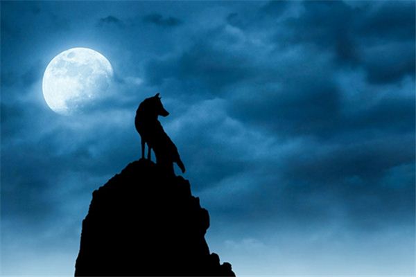 What does it mean to dream of darkness? What does it mean to dream of darkness?