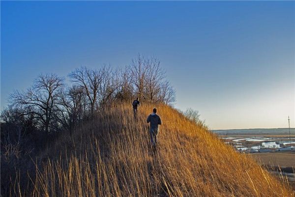 Dreaming of mounds and hills