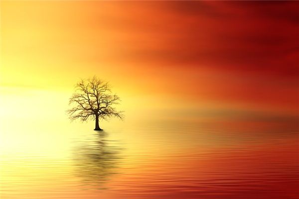 What does it mean to dream of a lake? What does it mean to dream of a lake?
