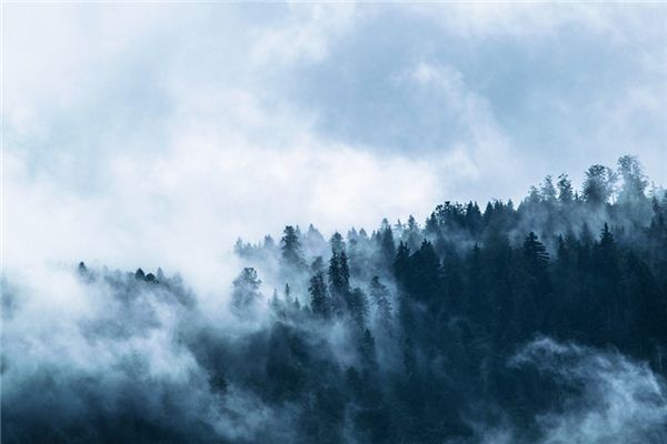What does it mean to dream of fog? What does it mean to dream of fog?