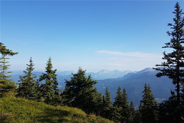 What does it mean to dream of mountains and forests? What does it mean to dream of mountains and forests?