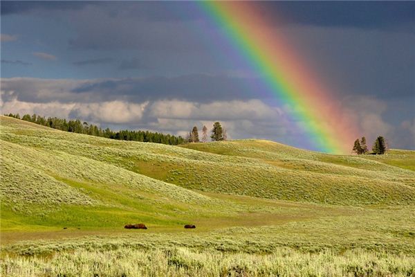 What does it mean to dream of a rainbow? What does it mean to dream of a rainbow?