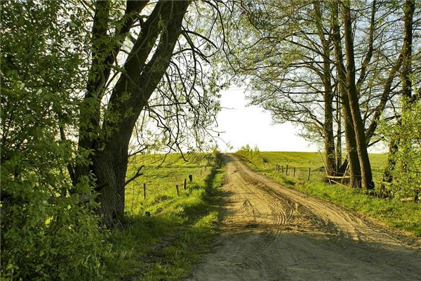 Dreaming of small paths and trails