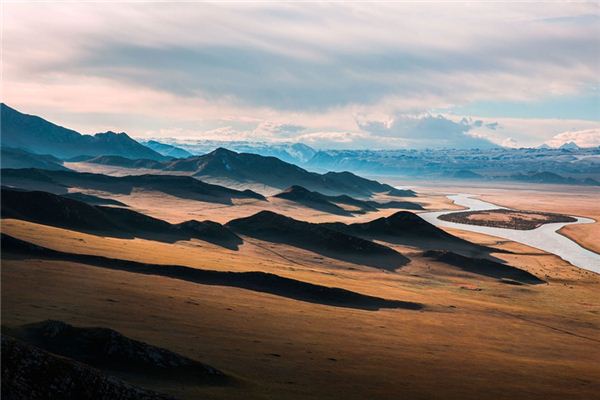 What does it mean to dream of a wilderness? What does it mean to dream of a wilderness?