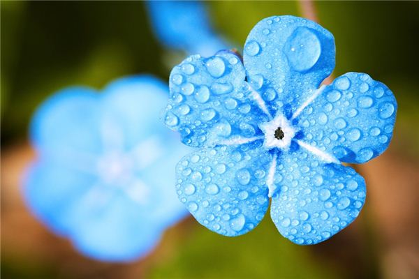 What does it mean to dream of dew?
