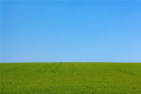 What does it mean to dream of a plain? What does it mean to dream of a plain?