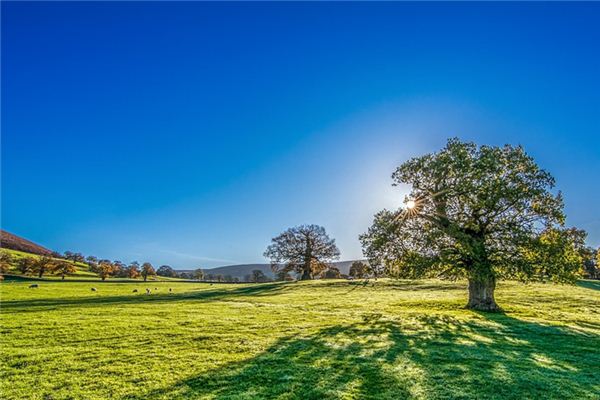 What does it mean to dream of sunny weather? What does it mean to dream of sunny weather?
