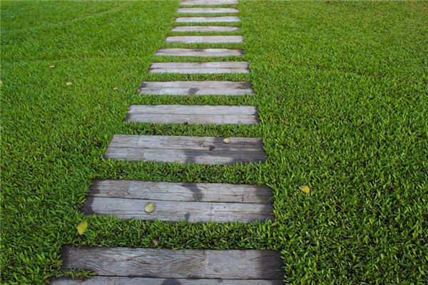 What does it mean to dream of a small path? What does it mean to dream of a small path?