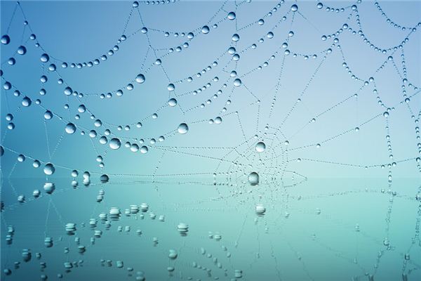 What does it mean to dream of dewdrops? What does it mean to dream of dewdrops?