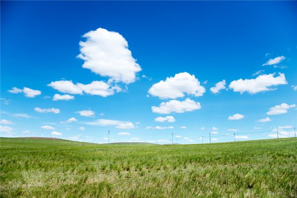 Dreaming of plains and fields