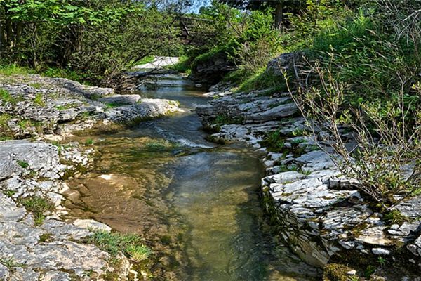 What does it mean to dream of mountain spring water? What does it mean to dream of mountain spring water?