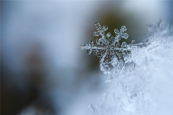 What does it mean to dream of dew turning into frost and snow? What does it mean to dream of dew turning into frost and snow?