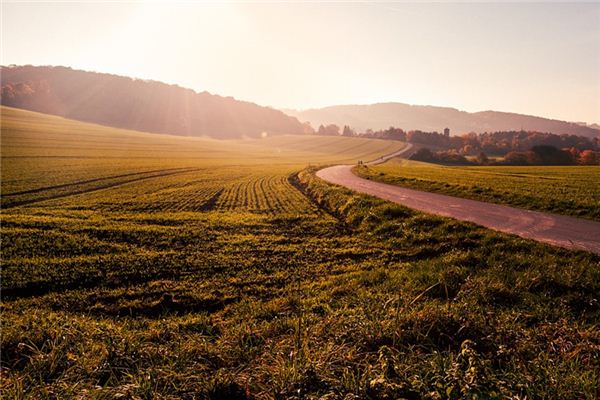 What does it mean to dream of land? What does it mean to dream of land?