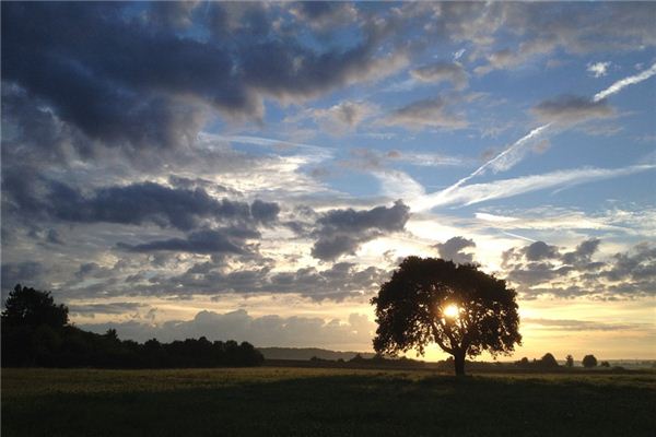 What does it mean to dream of dawn? What does it mean to dream of dawn?