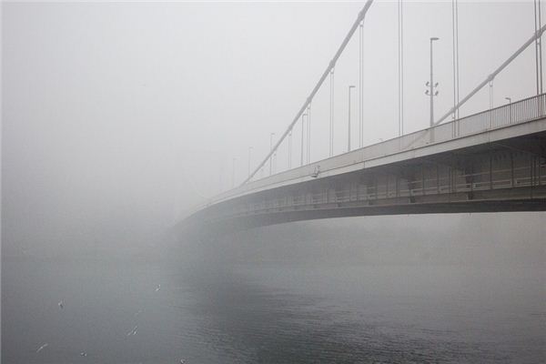 What does it mean to dream of fog? What does it mean to dream of fog?
