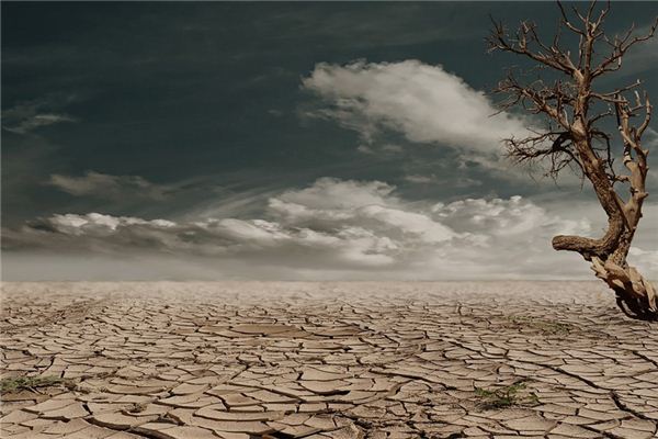 What does it mean to dream of drought? What does it mean to dream of drought?