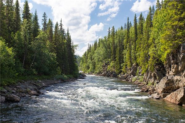 What does it mean to dream of a stream? What does it mean to dream of a stream?