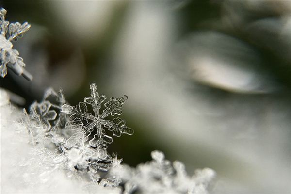 What does it mean to dream of a roof covered in frost? What does it mean to dream of a roof covered in frost?