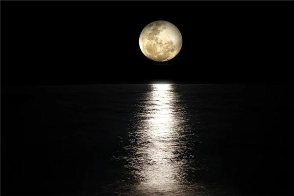 I dreamed that the moon rose from the sea. I dreamed that the moon rose from the sea.
