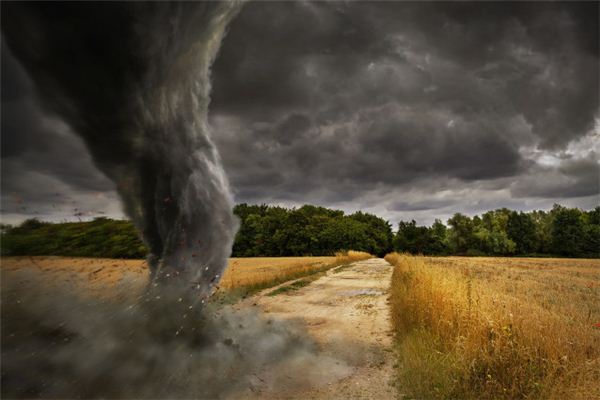 I dreamed of a tornado.