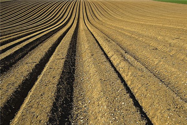 What does it mean to dream of a trench? What does it mean to dream of a trench?