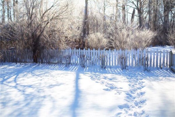 Dreaming of snow with footprints or melting Dreaming of snow with footprints or melting