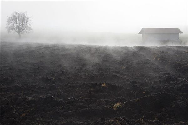 What does it mean to dream of thick fog? What does it mean to dream of thick fog?