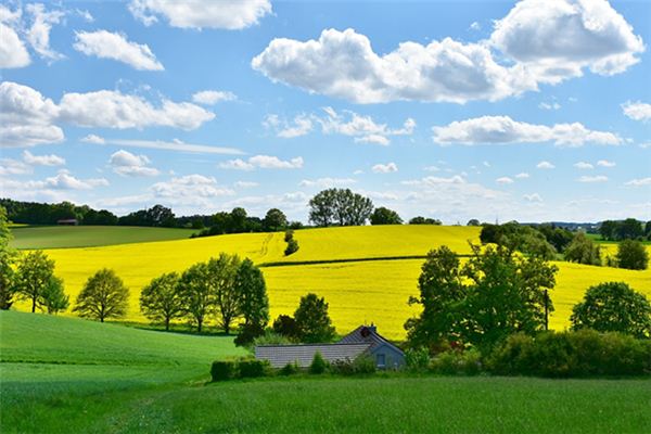 What does it mean to dream of pastoral scenery? What does it mean to dream of pastoral scenery?