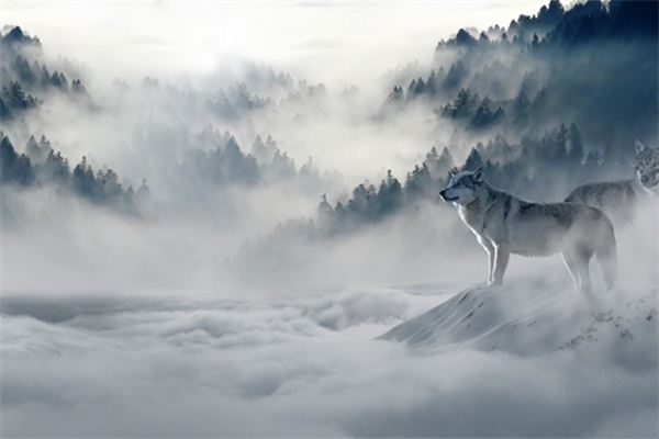 What does it mean to dream of being surrounded by fog? What does it mean to dream of being surrounded by fog?