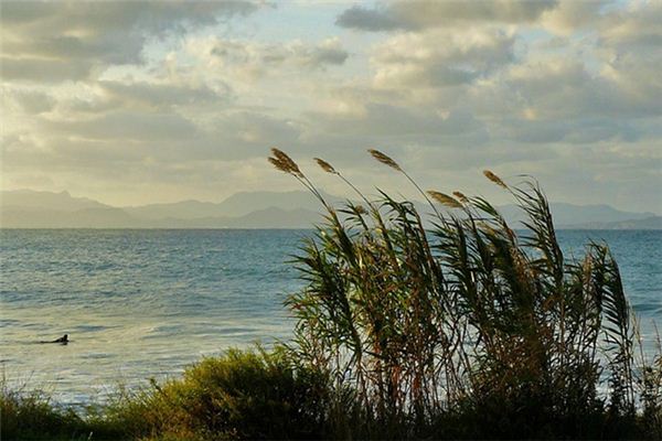 What does it mean to dream of a strong wind? What does it mean to dream of a strong wind?